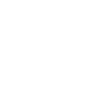 Boundary Survey